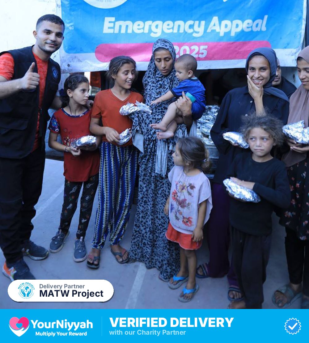 MATW Project