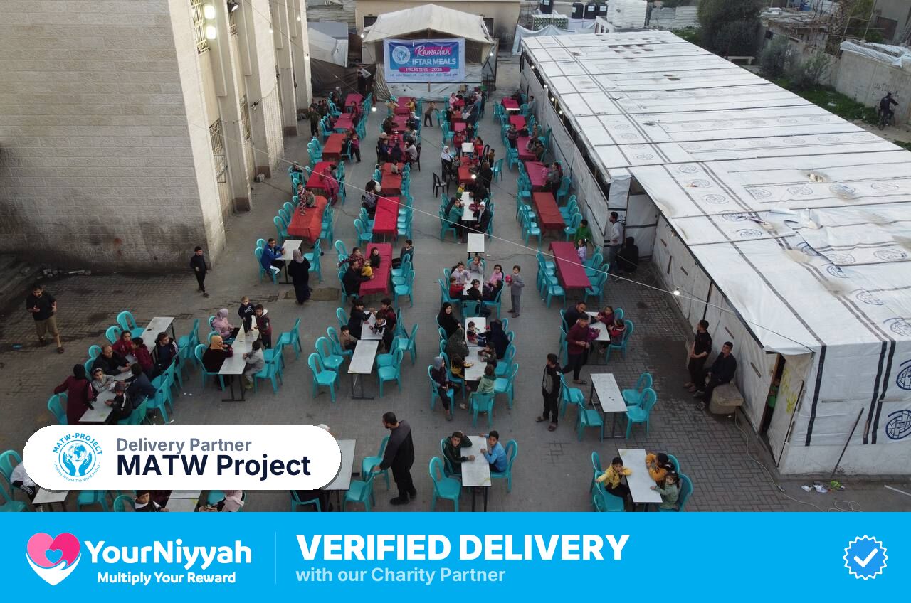 MATW Project
