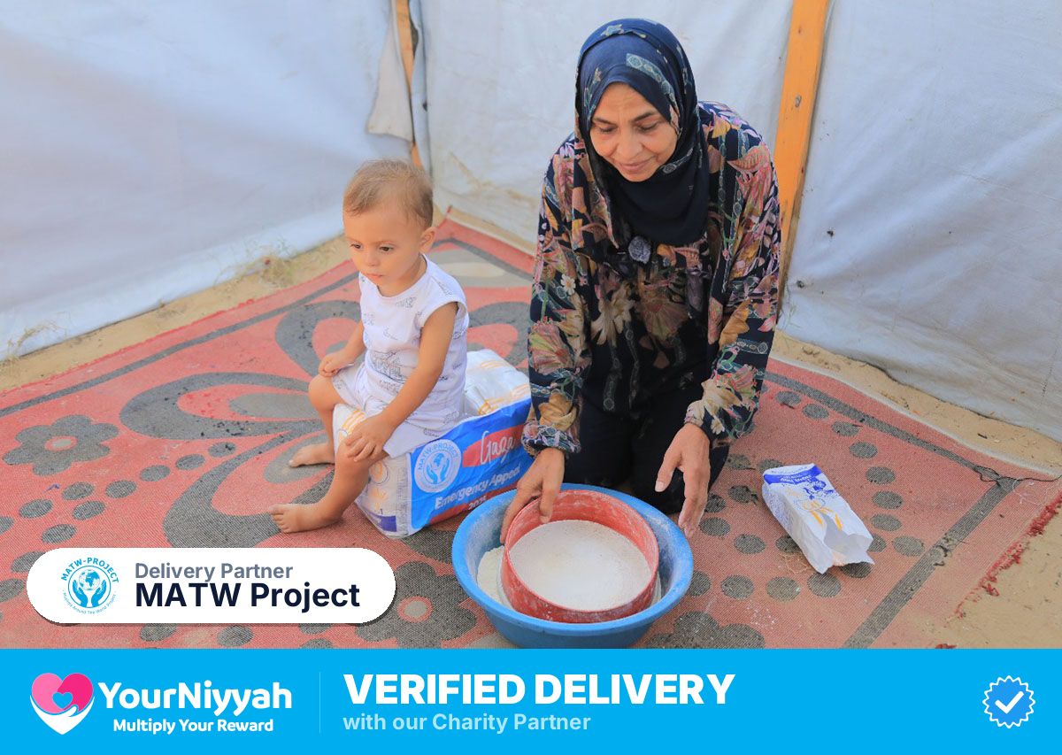 MATW Project