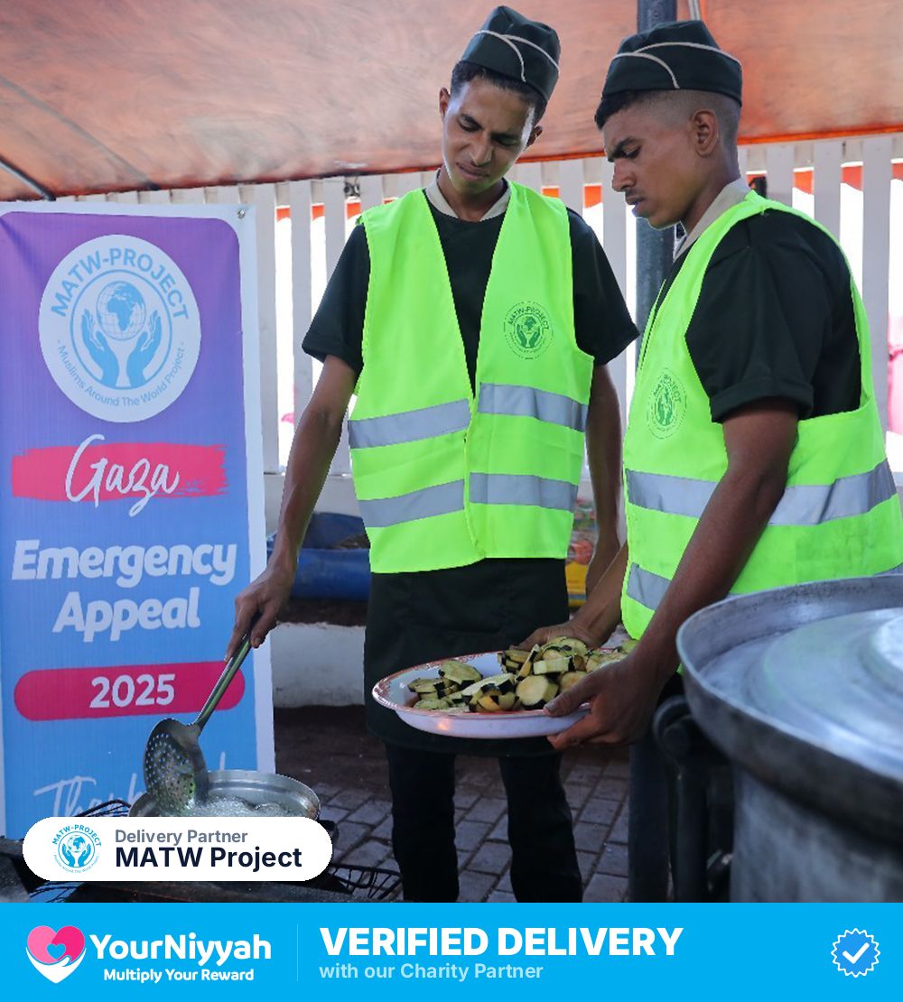 MATW Project