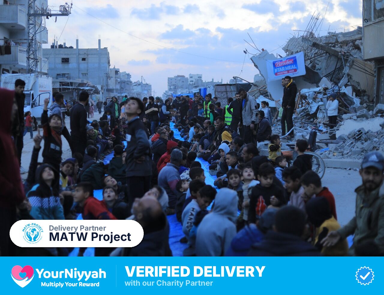 MATW Project